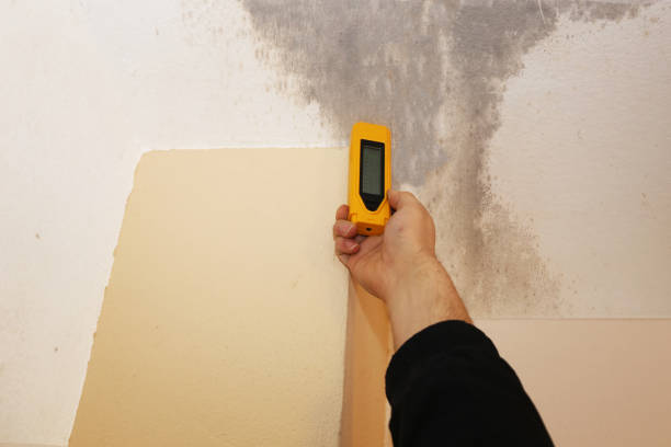 Mold Remediation for Vacation Homes in Reading, OH